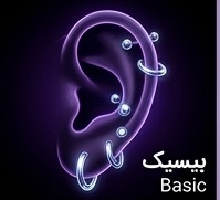 بیسیک و سیلیکونی