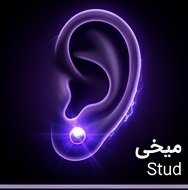 میخی