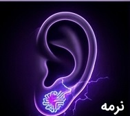 لوب (نرمه)