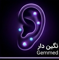 نگین دار