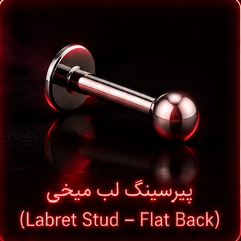 میخی (لابرت)